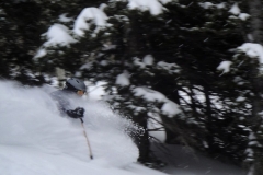 Another Alta, Utah powder day