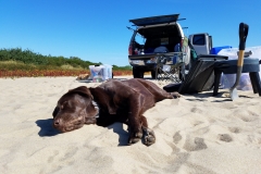 Zoe's first experience with sand is a hit!