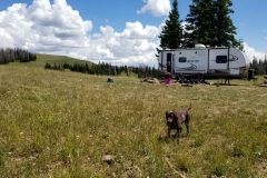 Boondocking on Duchesne Ridge, Utah