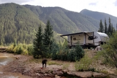 Our camp at Anvil Camping Area in Silverton, Colorado