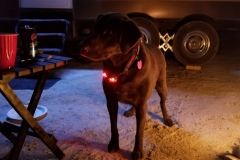 A new use for headlamps!