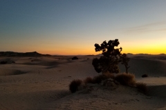 Sunset over Little Sahara